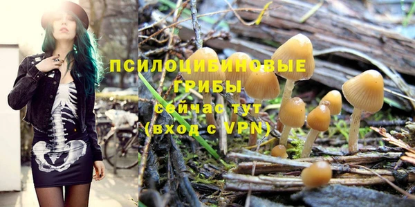 дживик Богданович
