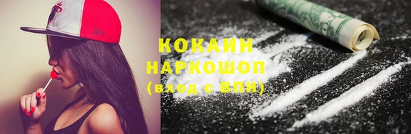 дживик Богданович