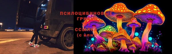 марки nbome Белокуриха