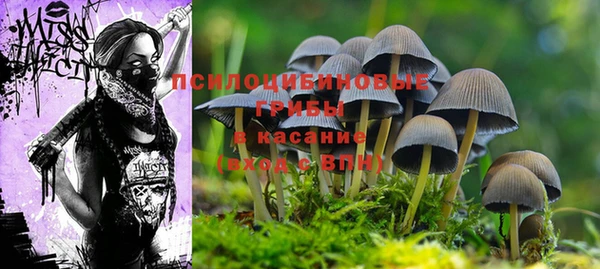марки nbome Белокуриха
